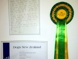 Dr. Peper Dramijos - šampion Nového Zélandu