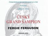 Fergie Ferguson Dramijos - now champion